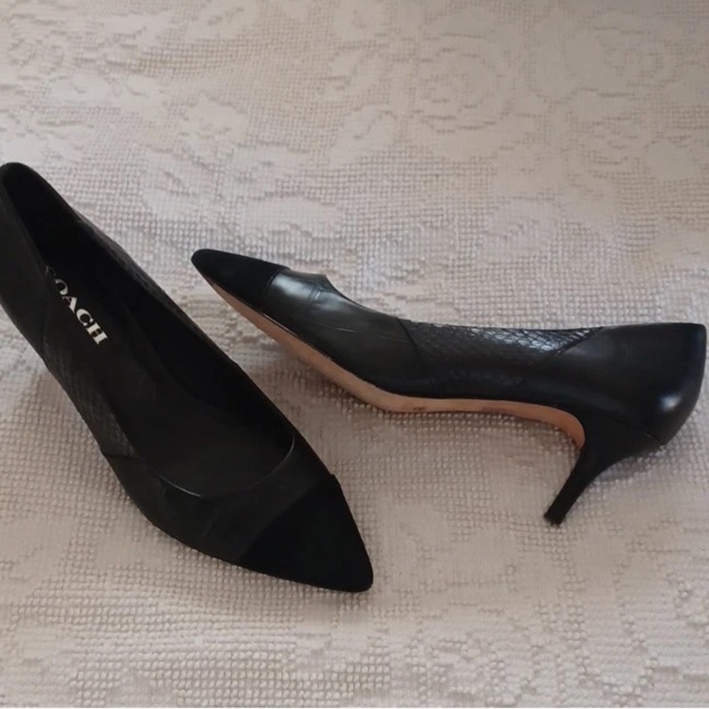 Coach Black Pointed-Toe Leather Stiletto Pumps